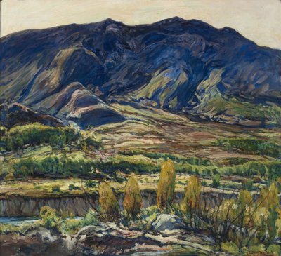 Im San Felipe-Tal, 1927 von Charles P. Reiffel